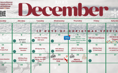 š December – 12 Days of Christmas Specials! š